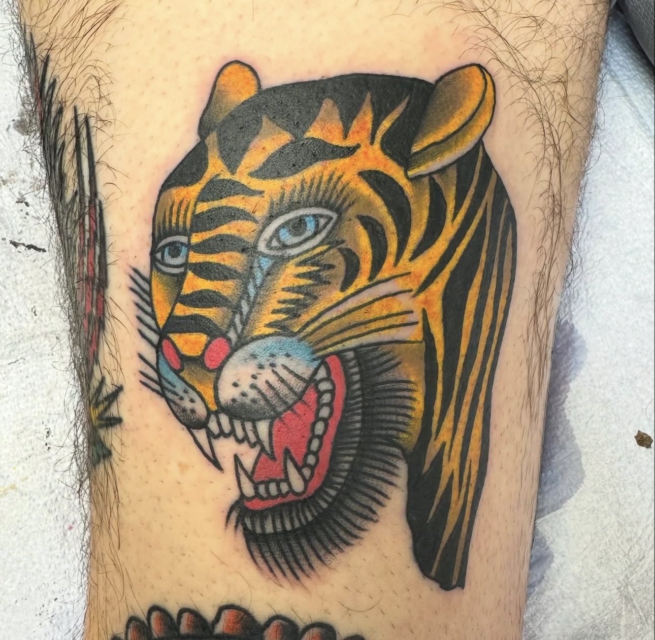 Traditional tiger